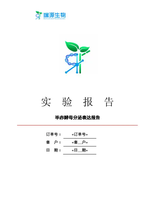 毕赤酵母分泌表达报告