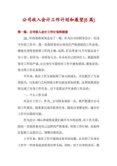 公司收入会计工作计划和展望(6篇)