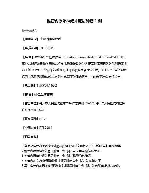 椎管内原始神经外胚层肿瘤1例