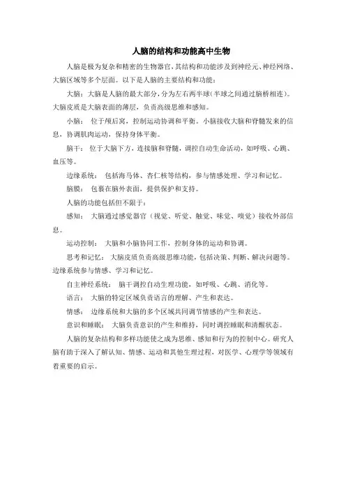 人脑的结构和功能高中生物