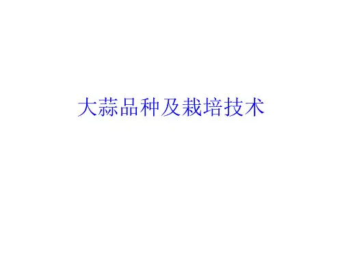 大蒜品种及栽培技术