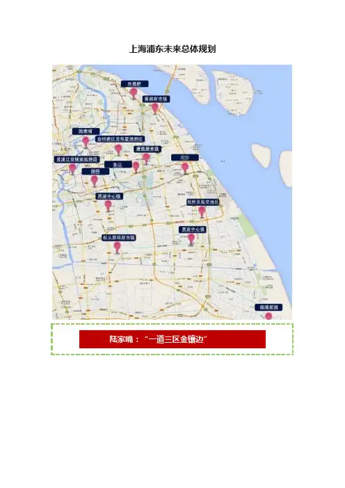 上海浦东未来总体规划