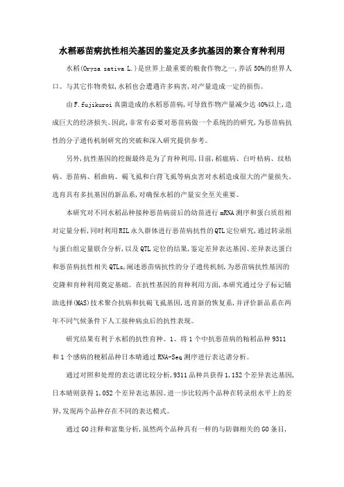 水稻恶苗病抗性相关基因的鉴定及多抗基因的聚合育种利用