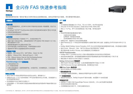 NetApp全闪存存储FAS指南