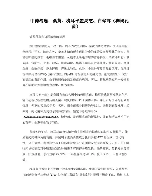 中药治癌桑黄、槐耳平盖灵芝、白桦茸(桦褐孔菌)