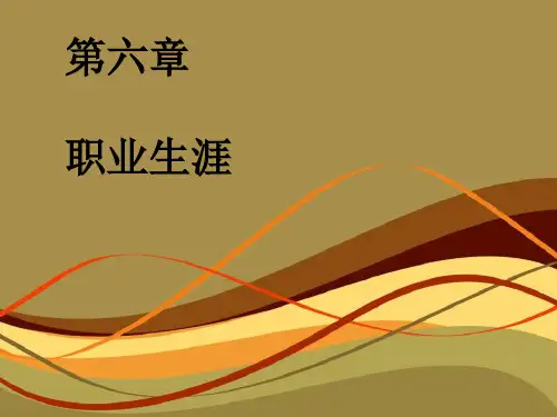 第六章  职业生涯  《职业心理学》PPT课件