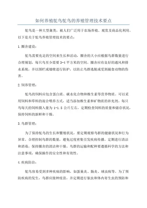 如何养殖鸵鸟鸵鸟的养殖管理技术要点
