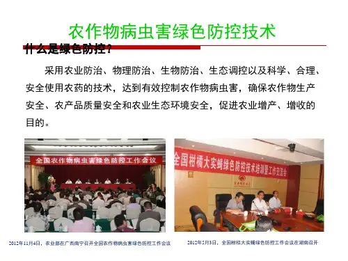 作物病虫害绿色防控-课件