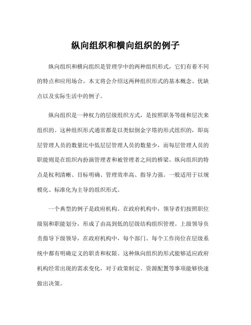 纵向组织和横向组织的例子
