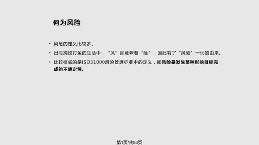 航运安全风险管理PPT课件
