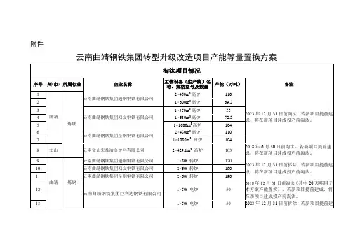 云南曲靖钢铁集团转型升级改造项目产能等量置换方案