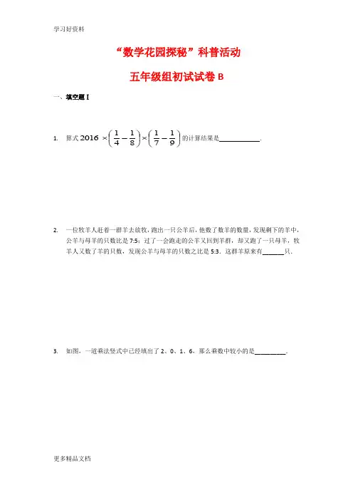 “数学花园探秘”科普活动五年级组初试试卷B汇编