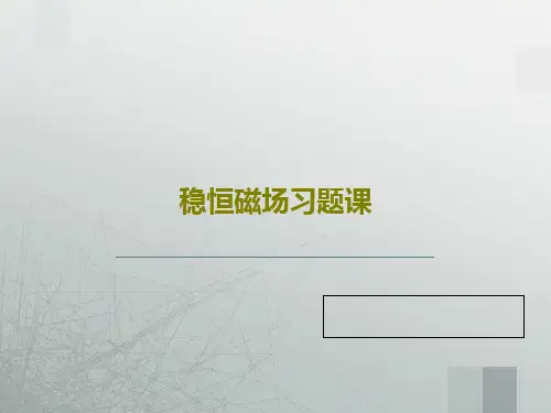 稳恒磁场习题课33页PPT