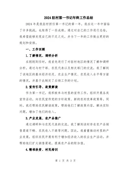 2024驻村第一书记年终工作总结