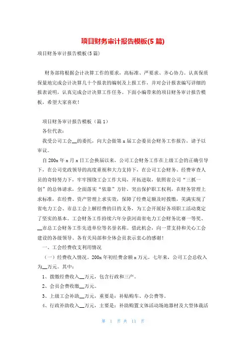 项目财务审计报告模板(5篇)