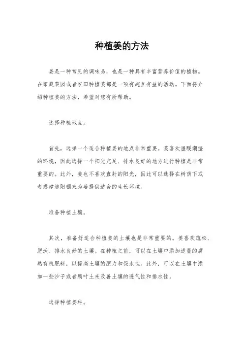 种植姜的方法
