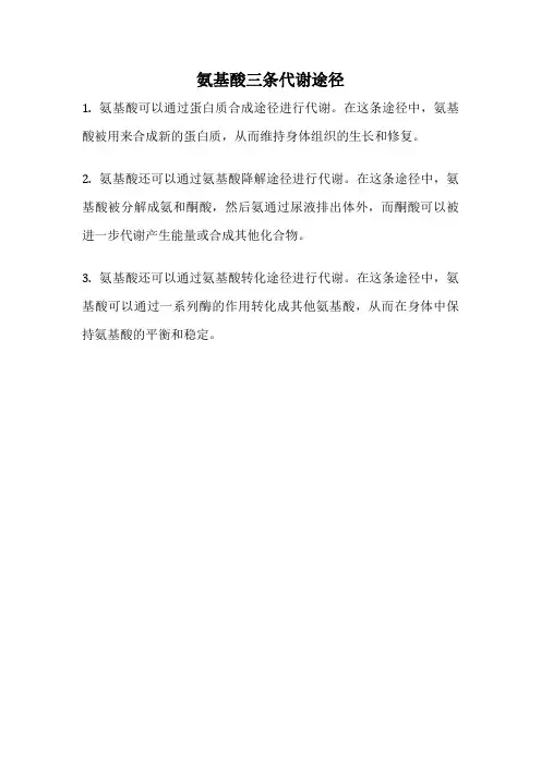 氨基酸三条代谢途径
