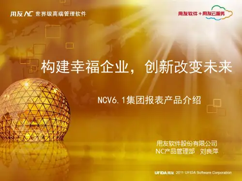 NC集团报表