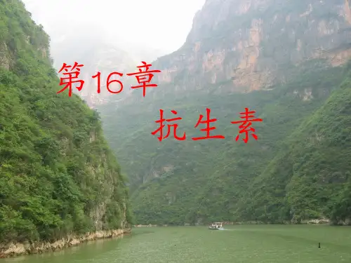 王镜岩 生物化学 经典课件 抗生素和激素 考研必备 学生物化学必备ppt课件