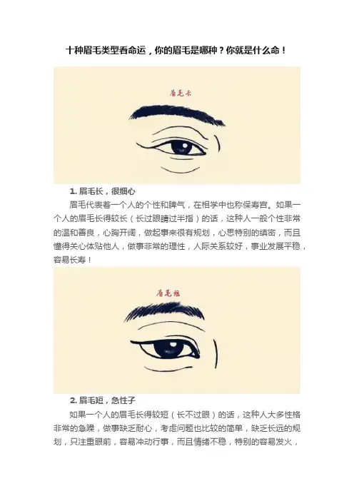 十种眉毛类型看命运，你的眉毛是哪种？你就是什么命！