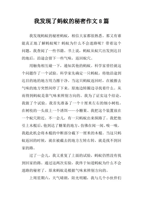 我发现了蚂蚁的秘密作文8篇