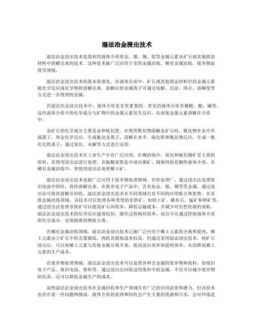 湿法冶金浸出技术