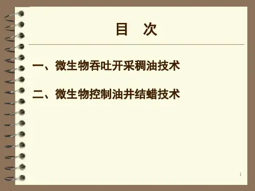 微生物采油技术新发展及应用研究院课堂PPT