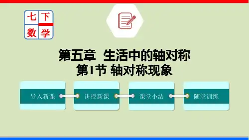 轴对称现象(课件)