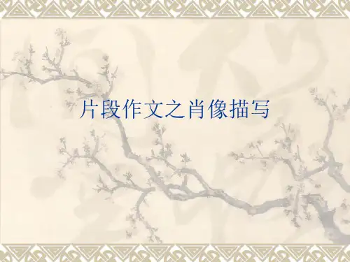 初中片段作文之肖像描写PPT (共9张PPT)