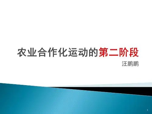 初级农业生产合作社的特点是PPT优秀课件