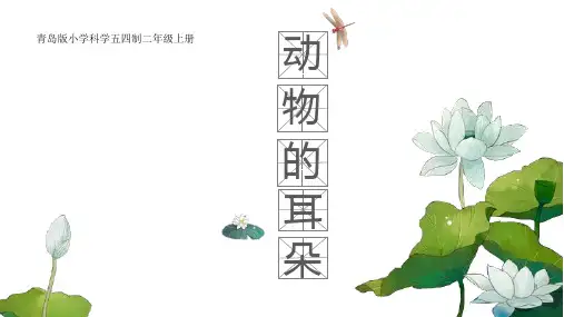 青岛版科学二年级上册《2动物的耳朵》 说课