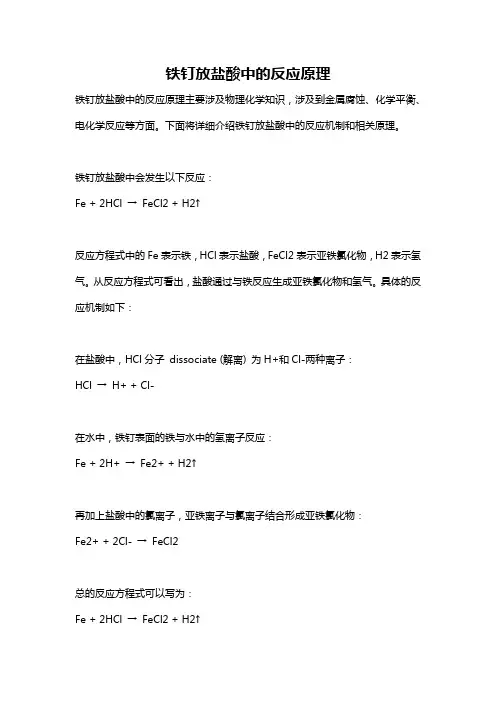 铁钉放盐酸中的反应原理
