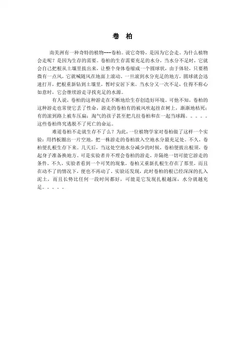卷  柏