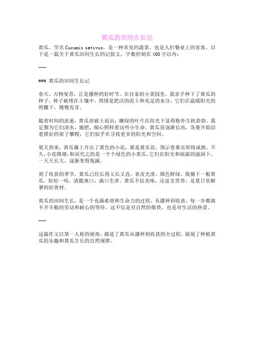 黄瓜的田间生长记
