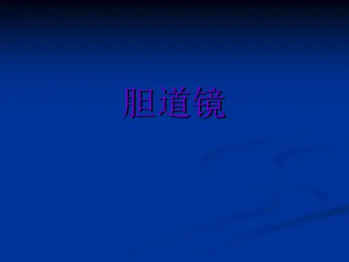 胆道镜--讲课