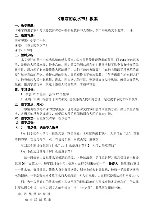 《难忘的泼水节》