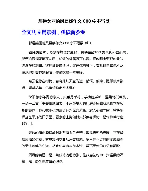那道美丽的风景线作文600字不写景