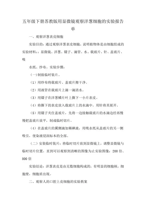 五年级下册苏教版用显微镜观察洋葱细胞的实验报告单