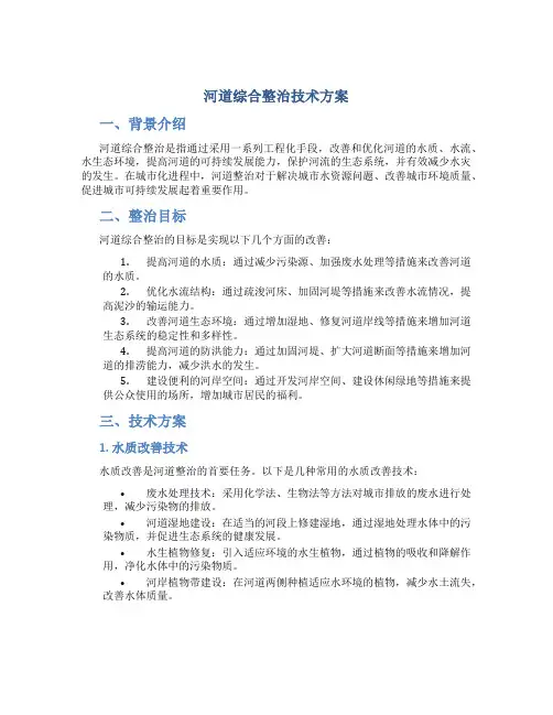 河道综合整治技术方案