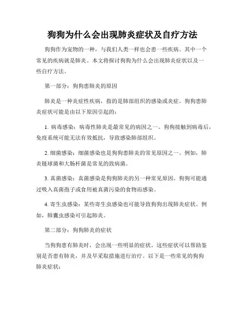 狗狗为什么会出现肺炎症状及自疗方法