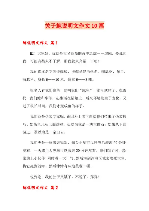 关于鲸说明文作文10篇