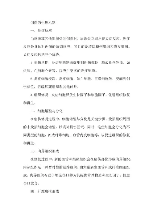 创伤的生理机制