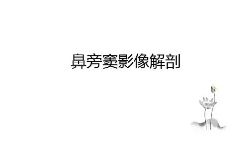 鼻旁窦影像解剖
