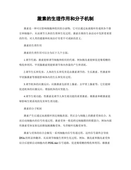 激素的生理作用和分子机制