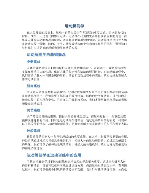 运动解剖学