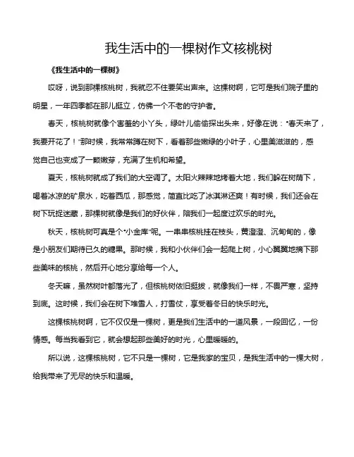 我生活中的一棵树作文核桃树