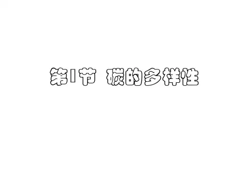 高一化学碳的多样性2