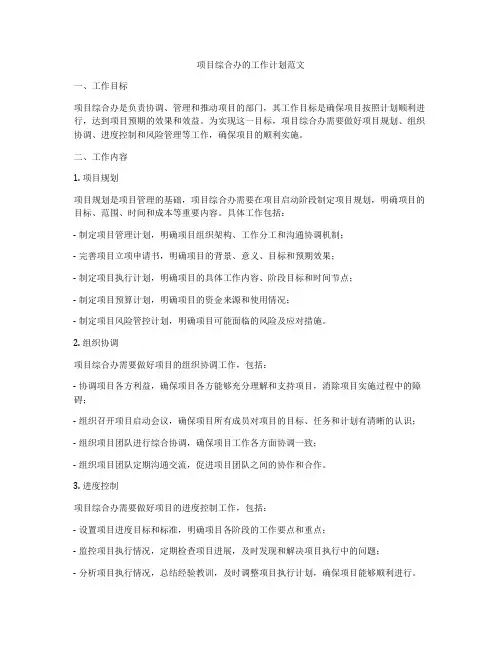 项目综合办的工作计划范文