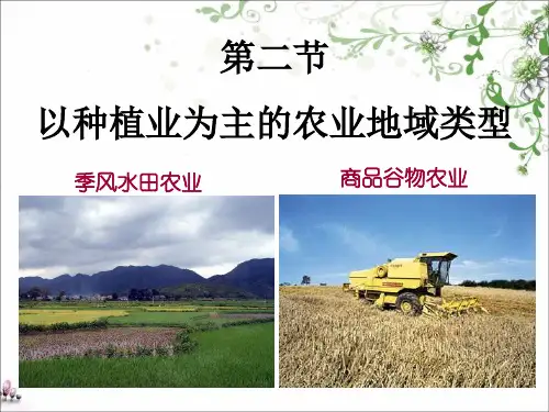 商品谷物农业(PPT30页)