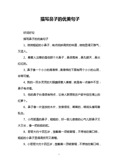 描写鼻子的优美句子